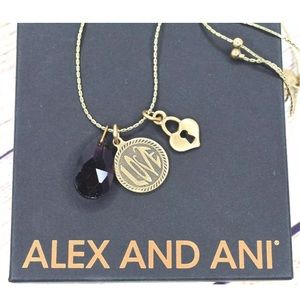 Alex and Ani Love Necklace